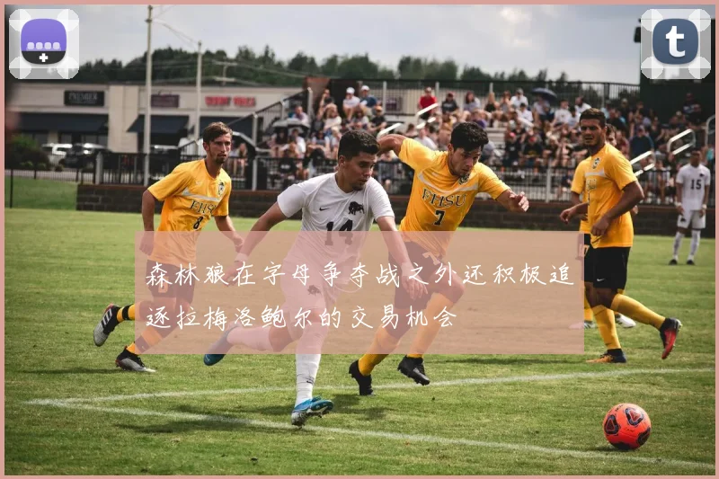 森林狼在字母争夺战之外还积极追逐拉梅洛鲍尔的交易机会